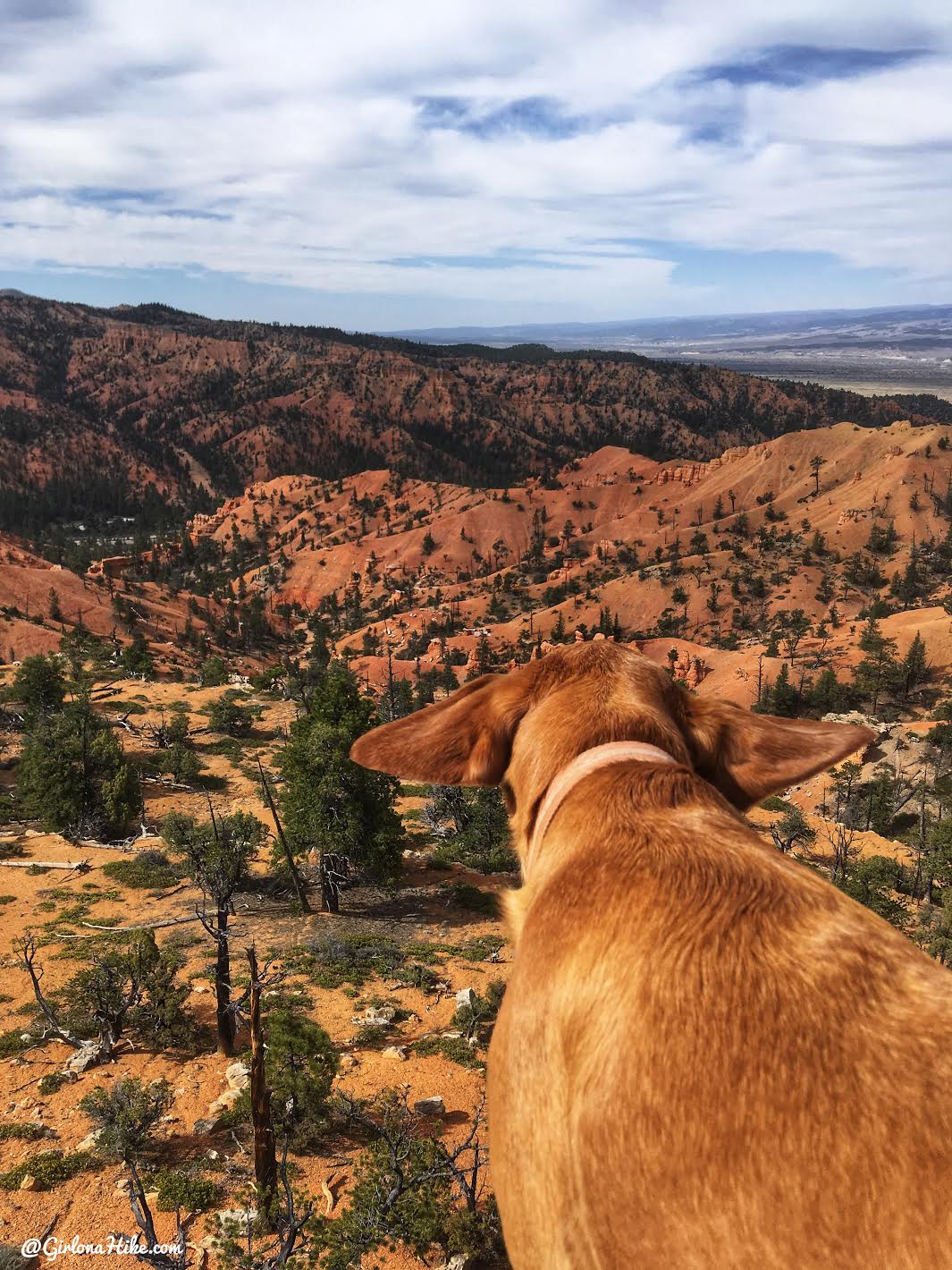 Hiking the Butch Cassidy Trail, Red Canyon near Bryce Canyon National Park