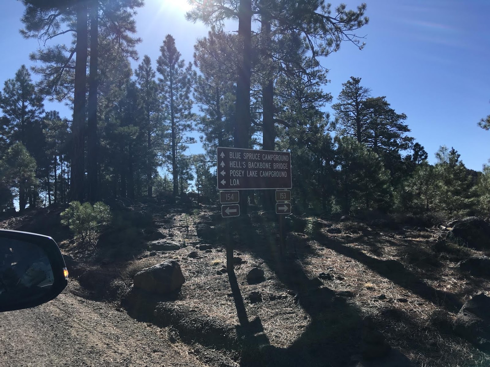 Hiking Pine Creek (The Box Trail) in Escalante, Utah, Hiking in Grand Staircase Escalante National Monument, Hiking in Utah with Dogs