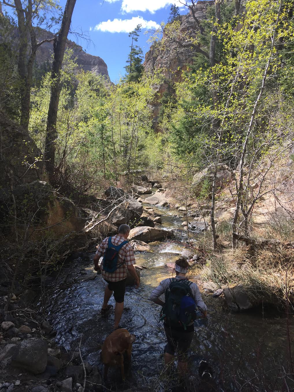 Hiking Pine Creek (The Box Trail) in Escalante, Utah, Hiking in Grand Staircase Escalante National Monument, Hiking in Utah with Dogs