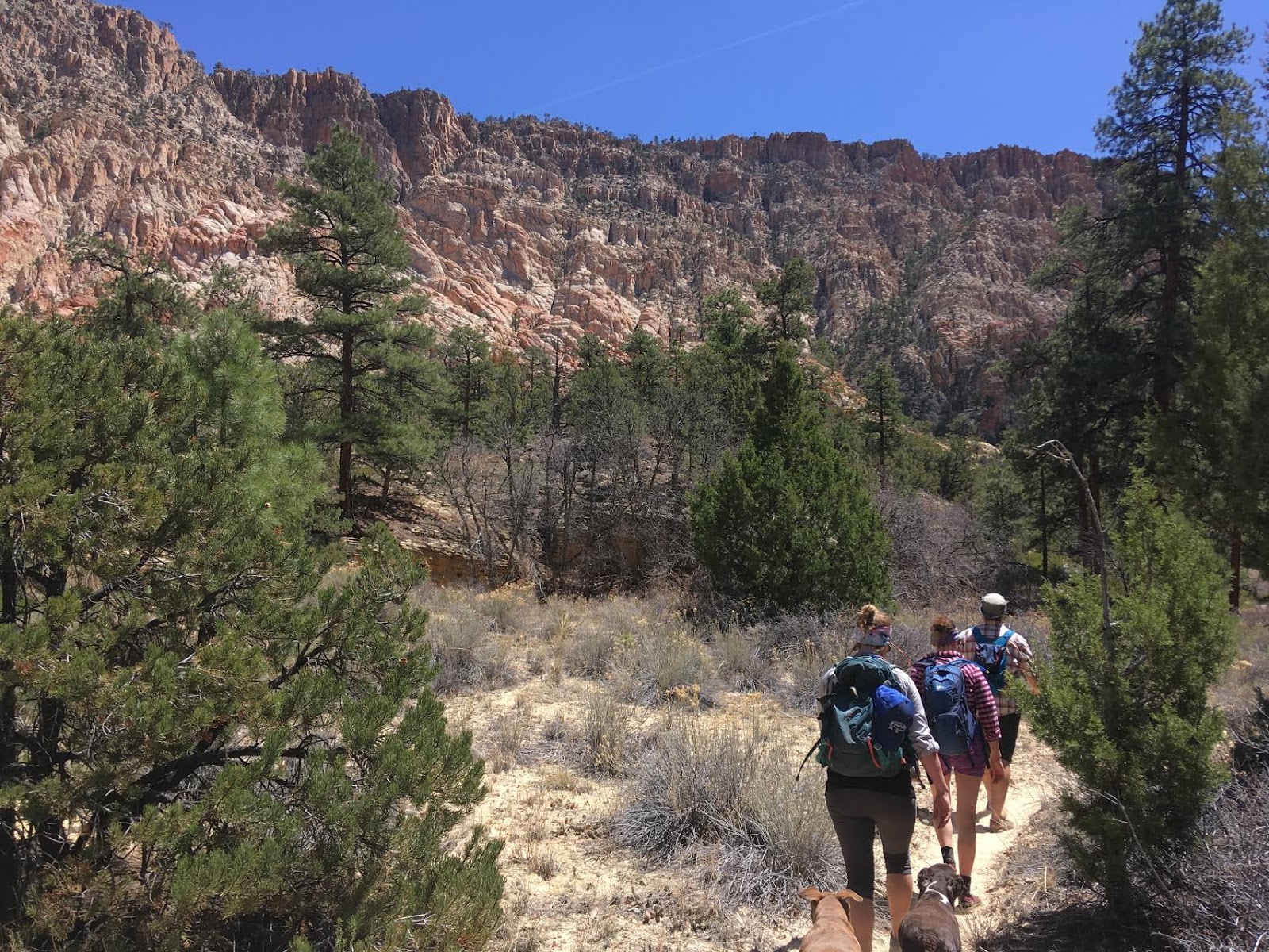 Hiking Pine Creek (The Box Trail) in Escalante, Utah, Hiking in Grand Staircase Escalante National Monument, Hiking in Utah with Dogs