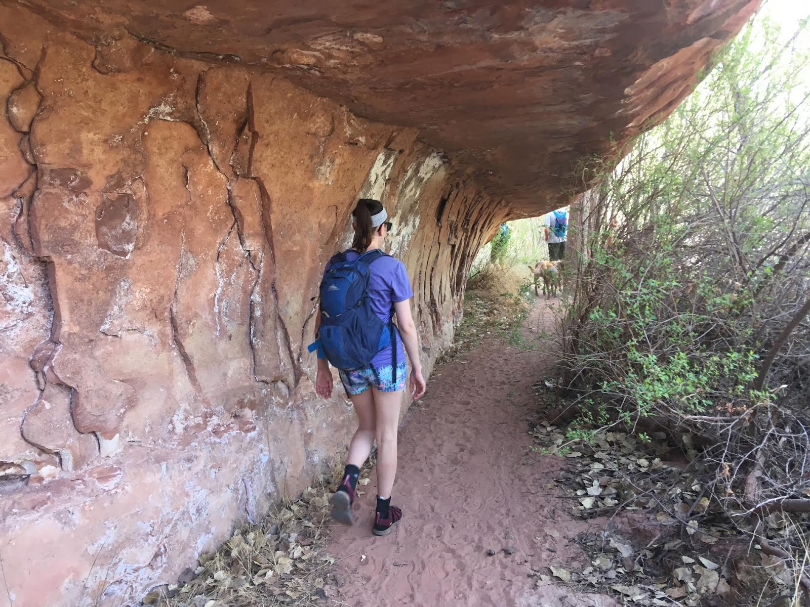 Bowington Arch Grand Staircase Escalante National Monument (GSENM), Hiking with Dogs in Utah