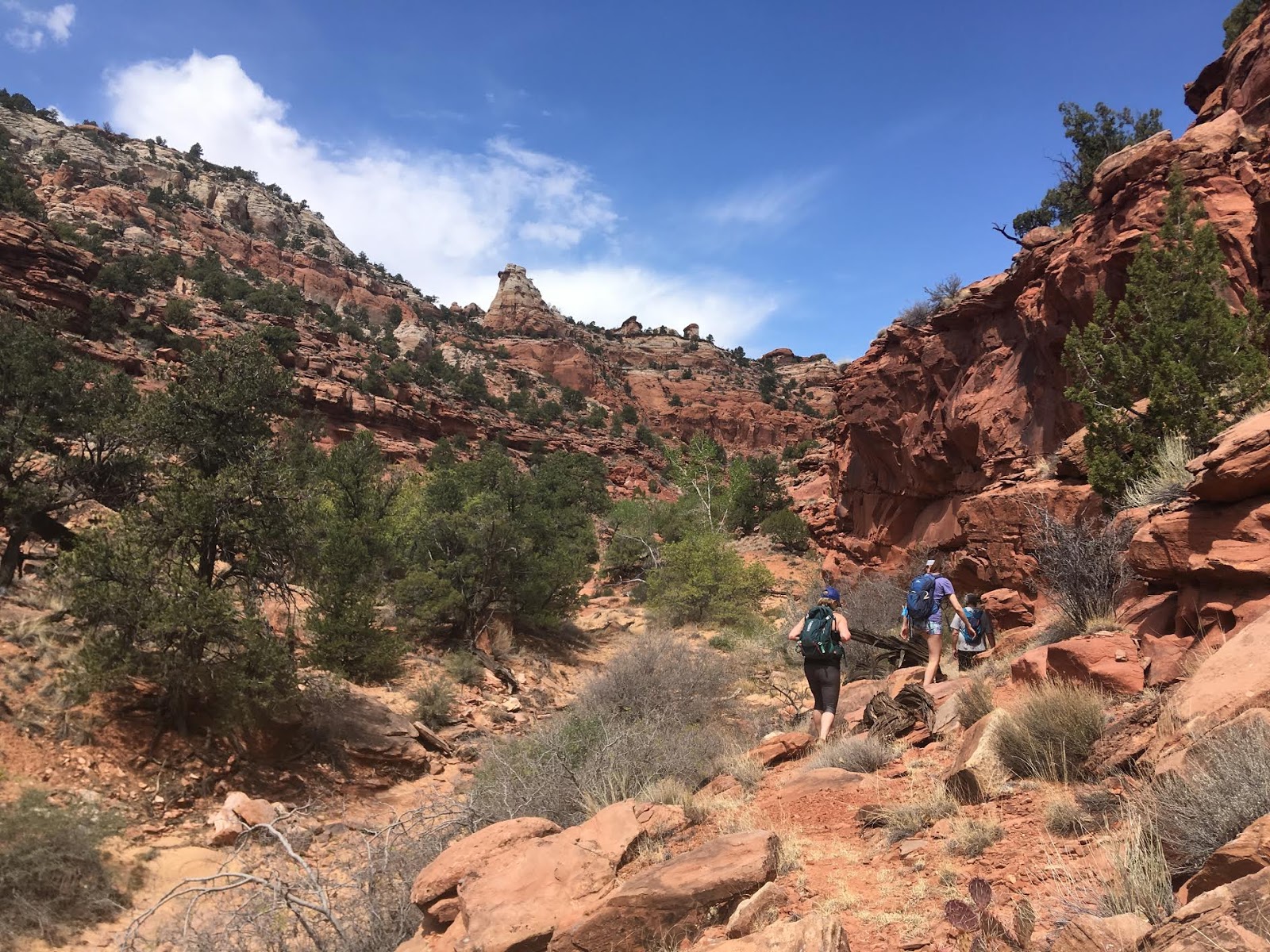 Bowington Arch Grand Staircase Escalante National Monument (GSENM), Hiking with Dogs in Utah