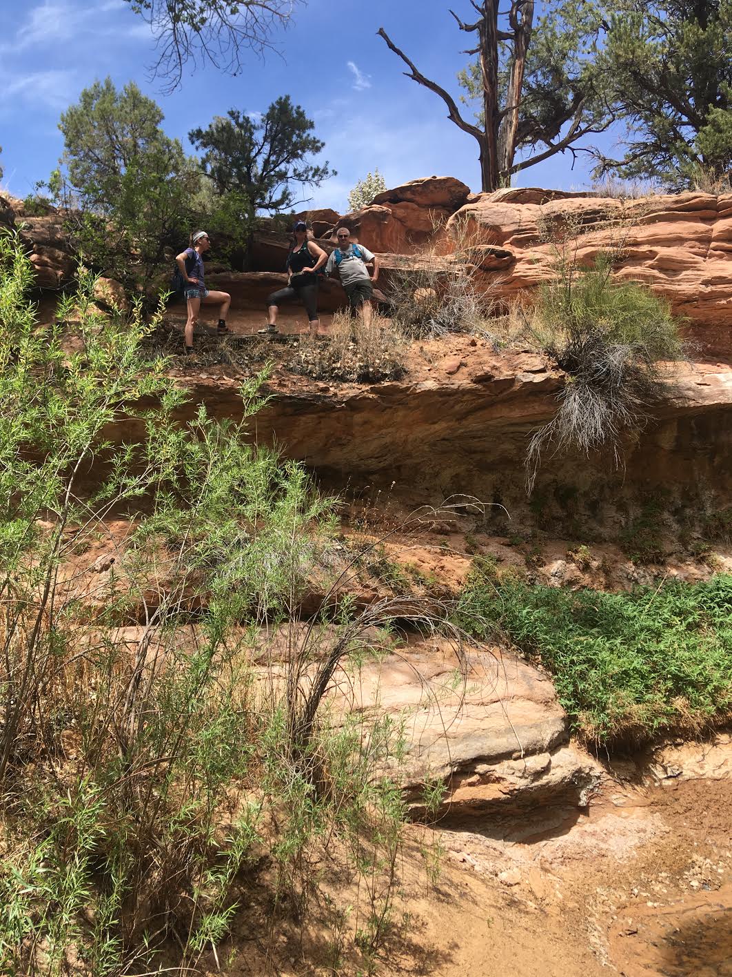 Bowington Arch Grand Staircase Escalante National Monument (GSENM), Hiking with Dogs in Utah