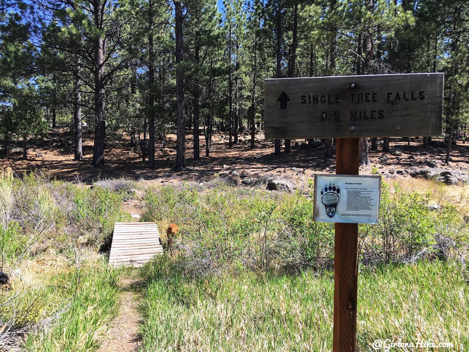 Hiking to Singletree Falls, Boulder Mountain