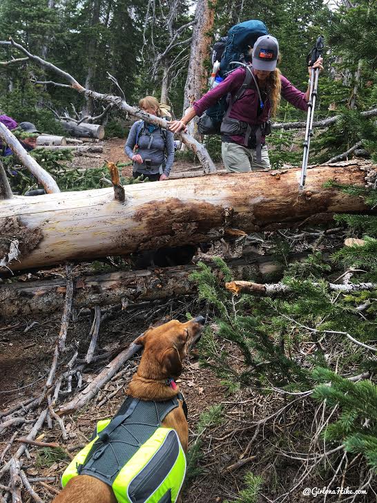 Backpacking the Ashdown Gorge via Rattlesnake Creek