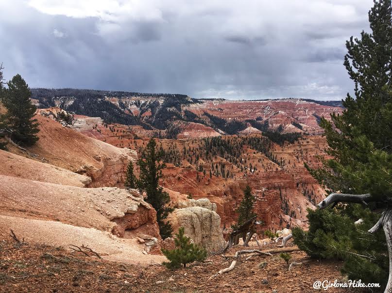 Backpacking the Ashdown Gorge via Rattlesnake Creek