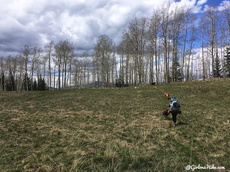 Backpacking the Ashdown Gorge via Rattlesnake Creek