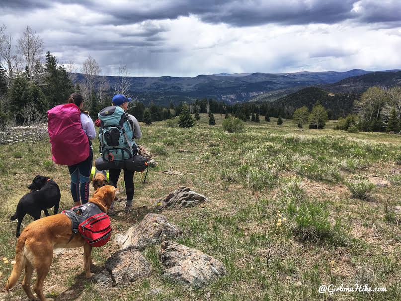 Backpacking the Ashdown Gorge via Rattlesnake Creek