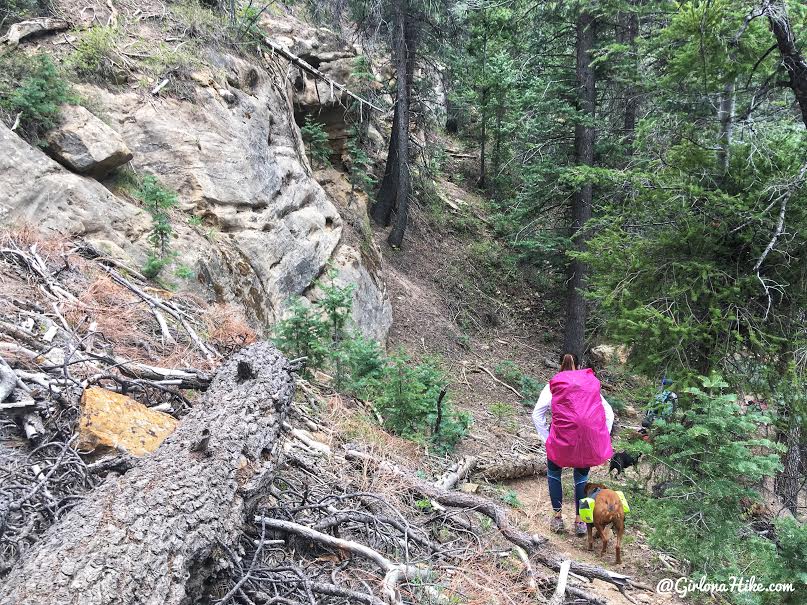 Backpacking the Ashdown Gorge via Rattlesnake Creek