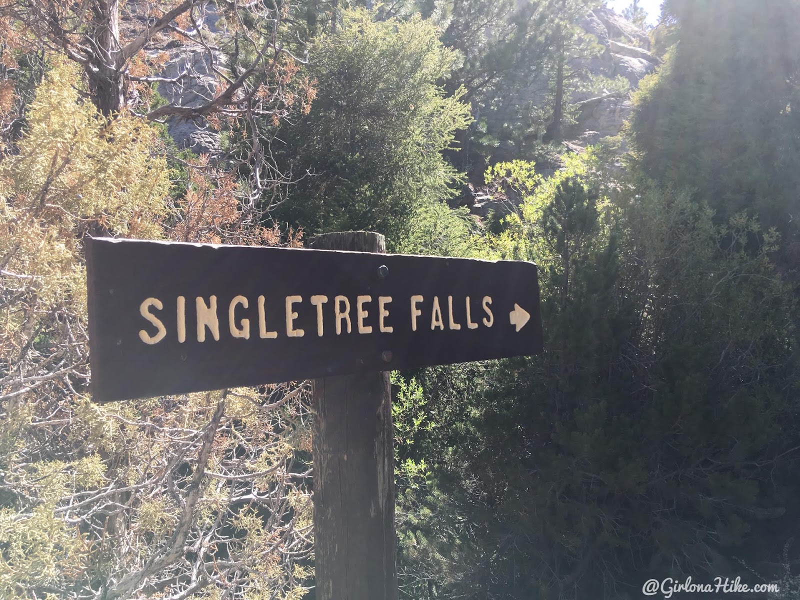 Hiking to Singletree Falls, Boulder Mountain