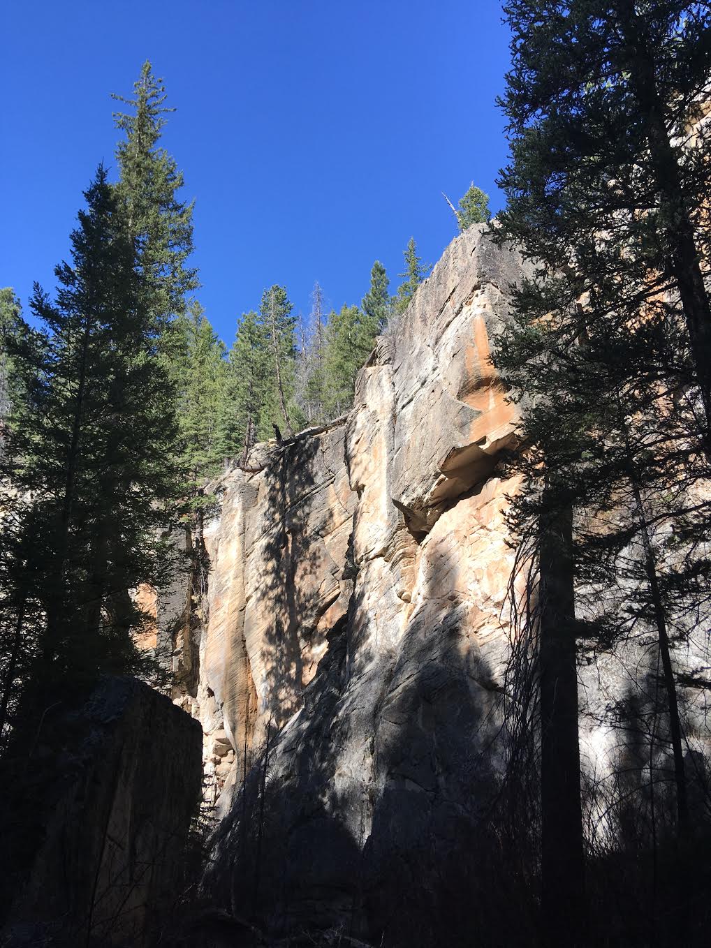 Hiking Pine Creek (The Box Trail) in Escalante, Utah, Hiking in Grand Staircase Escalante National Monument, Hiking in Utah with Dogs