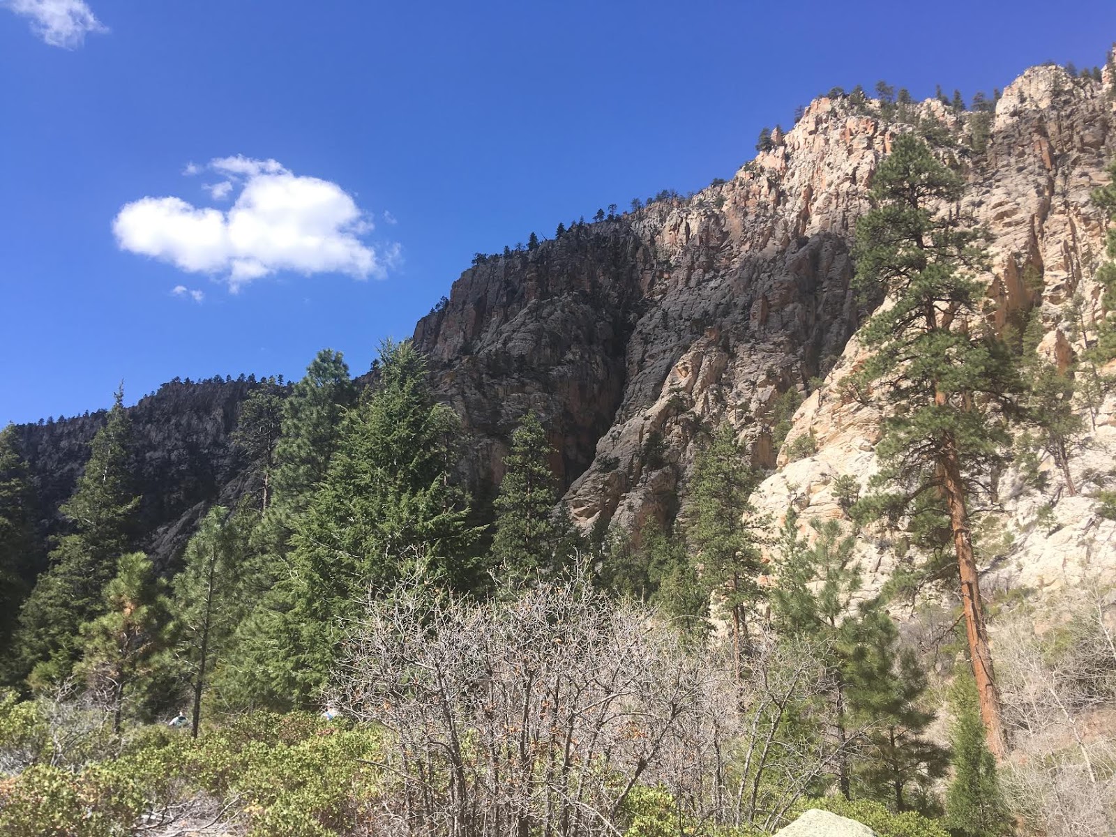 Hiking Pine Creek (The Box Trail) in Escalante, Utah, Hiking in Grand Staircase Escalante National Monument, Hiking in Utah with Dogs