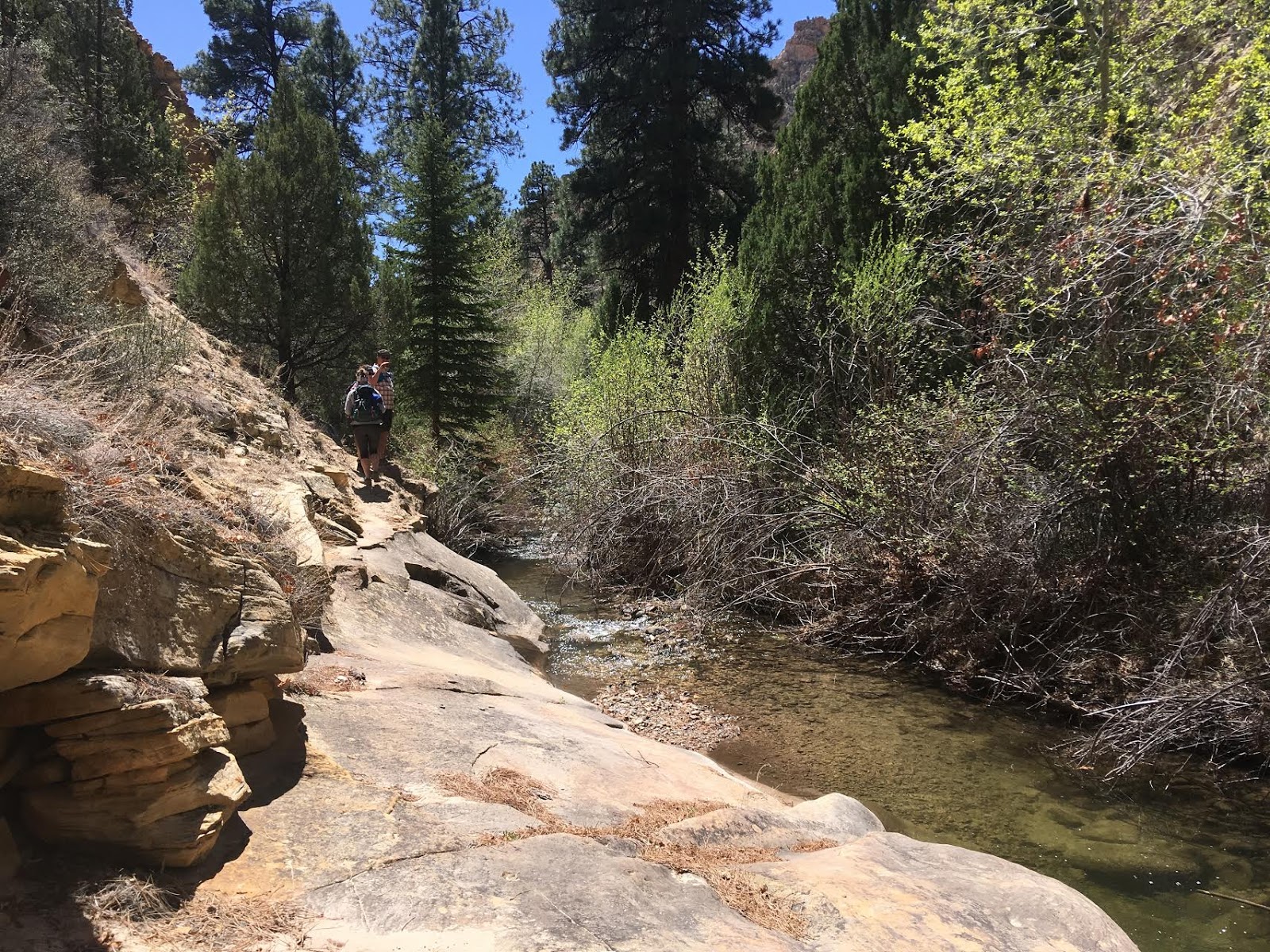 Hiking Pine Creek (The Box Trail) in Escalante, Utah, Hiking in Grand Staircase Escalante National Monument, Hiking in Utah with Dogs