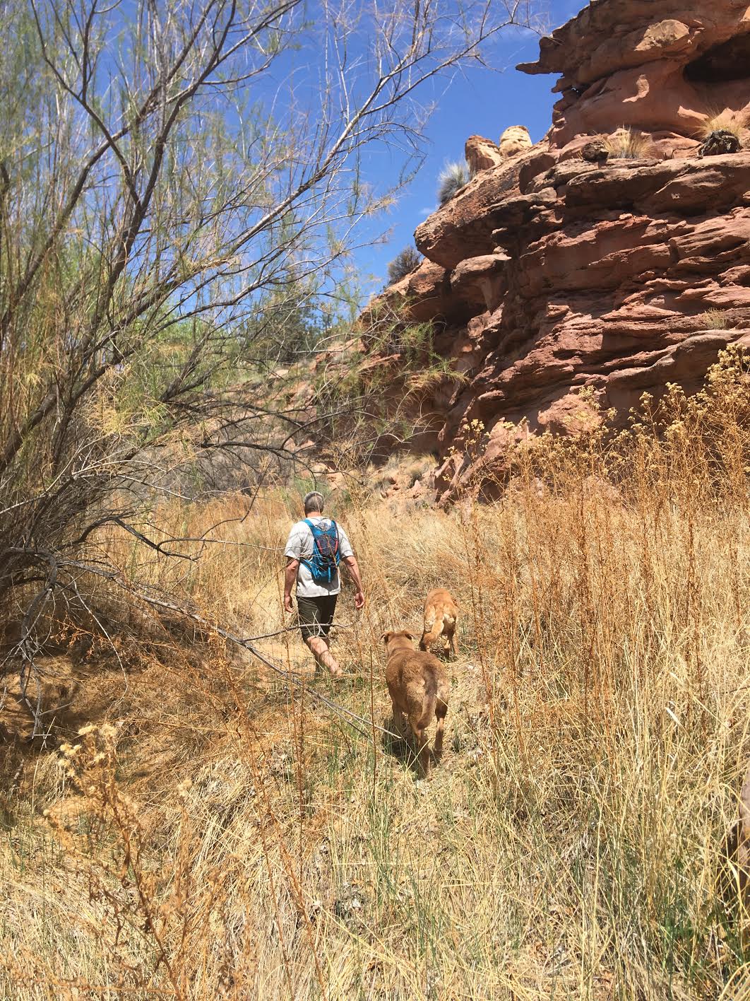 Bowington Arch Grand Staircase Escalante National Monument (GSENM), Hiking with Dogs in Utah