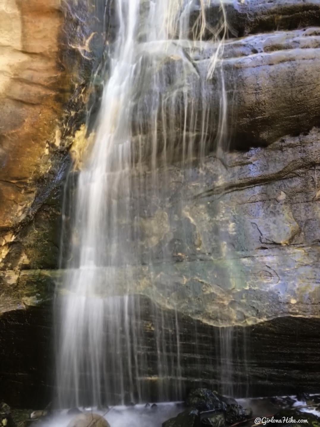 Hiking to Singletree Falls, Boulder Mountain