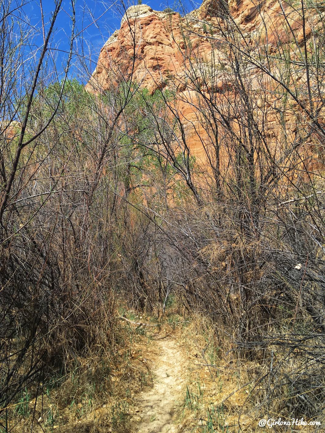 Backpacking the Escalante River Trail, Grand Staircase Escalante National Monument