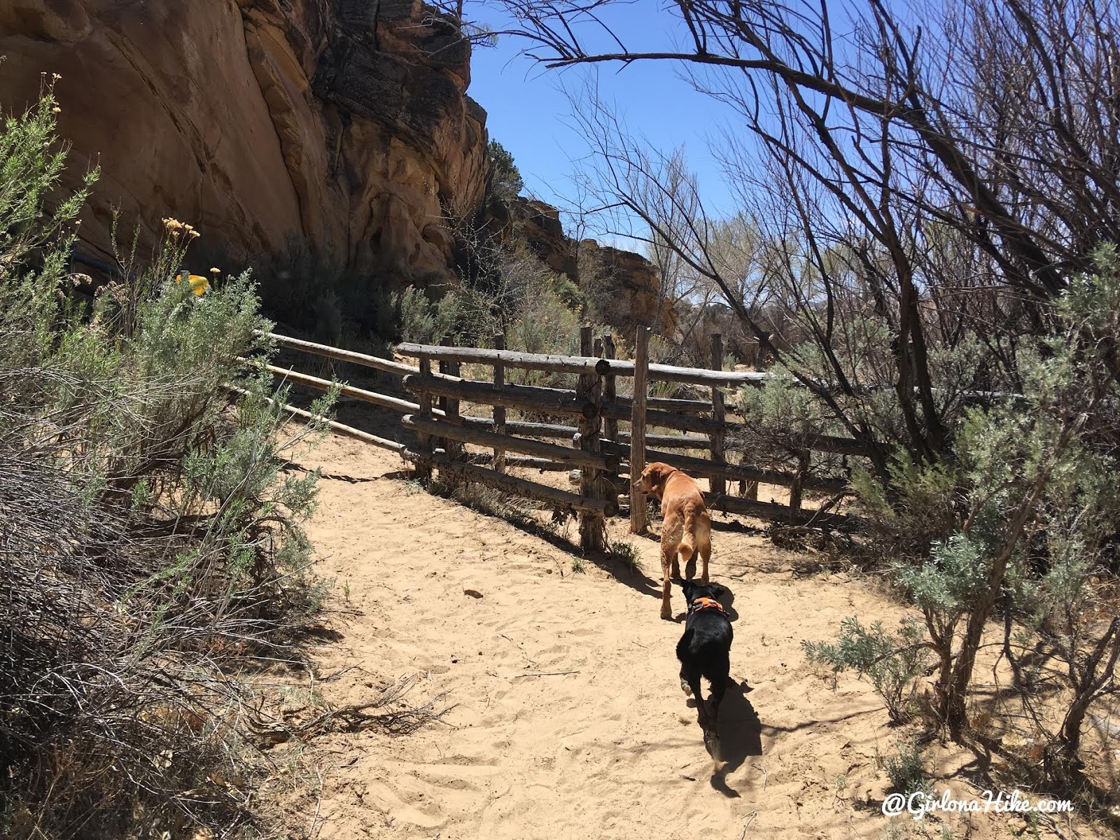 Backpacking the Escalante River Trail, Grand Staircase Escalante National Monument