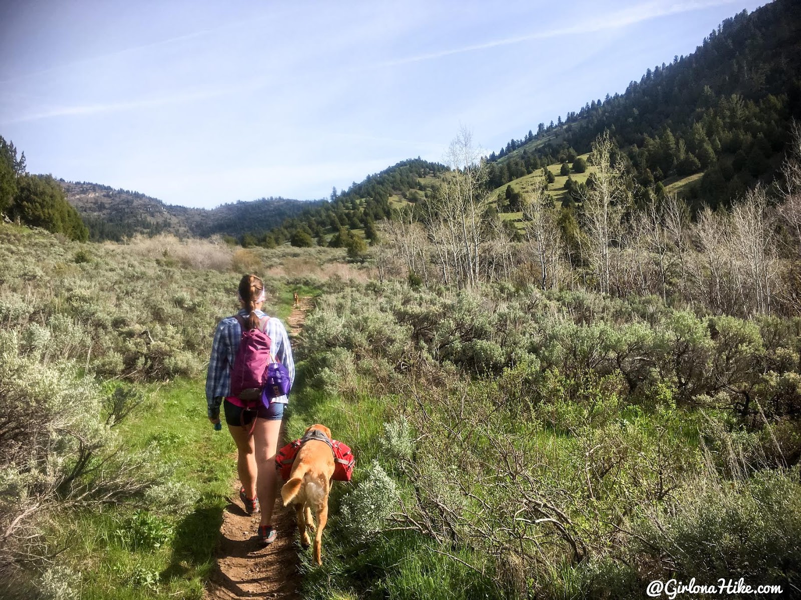 Hiking to the Jardine Juniper Tree, Logan Canyon