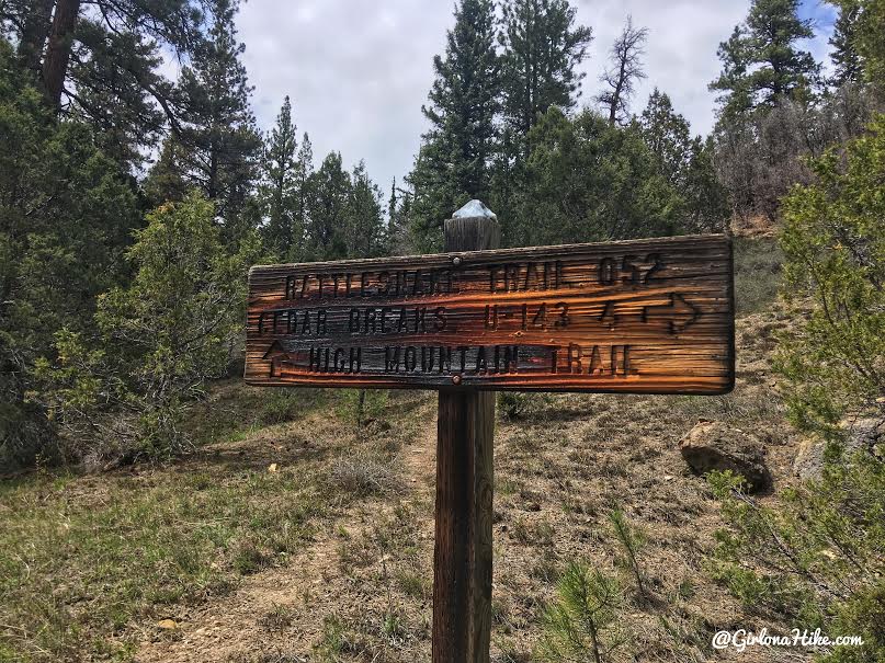 Backpacking the Ashdown Gorge via Rattlesnake Creek