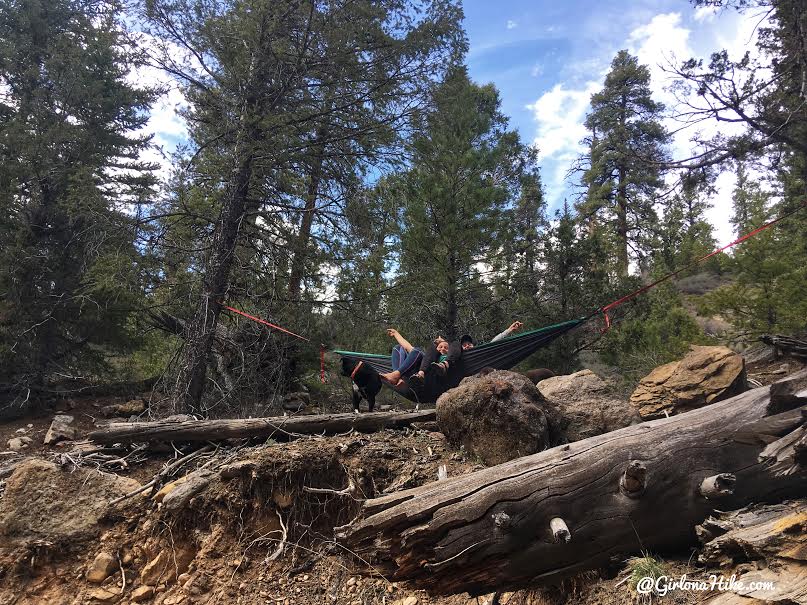 Backpacking the Ashdown Gorge via Rattlesnake Creek