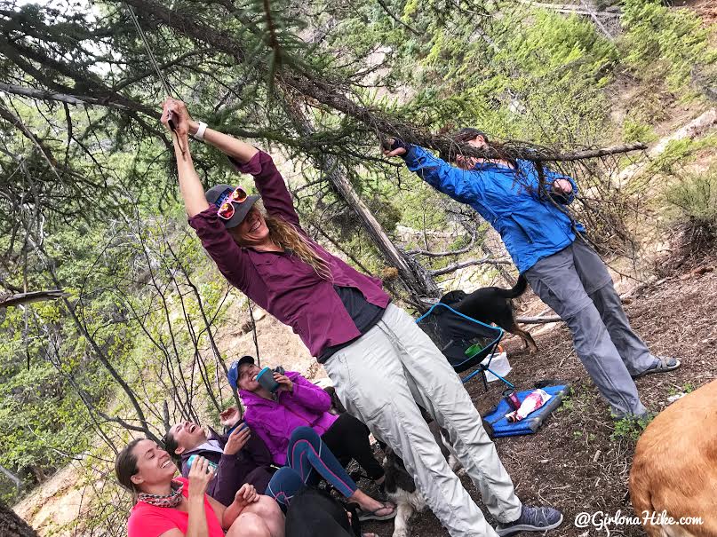 Backpacking the Ashdown Gorge via Rattlesnake Creek