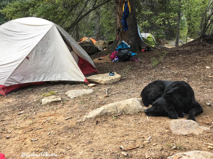 Backpacking the Ashdown Gorge via Rattlesnake Creek