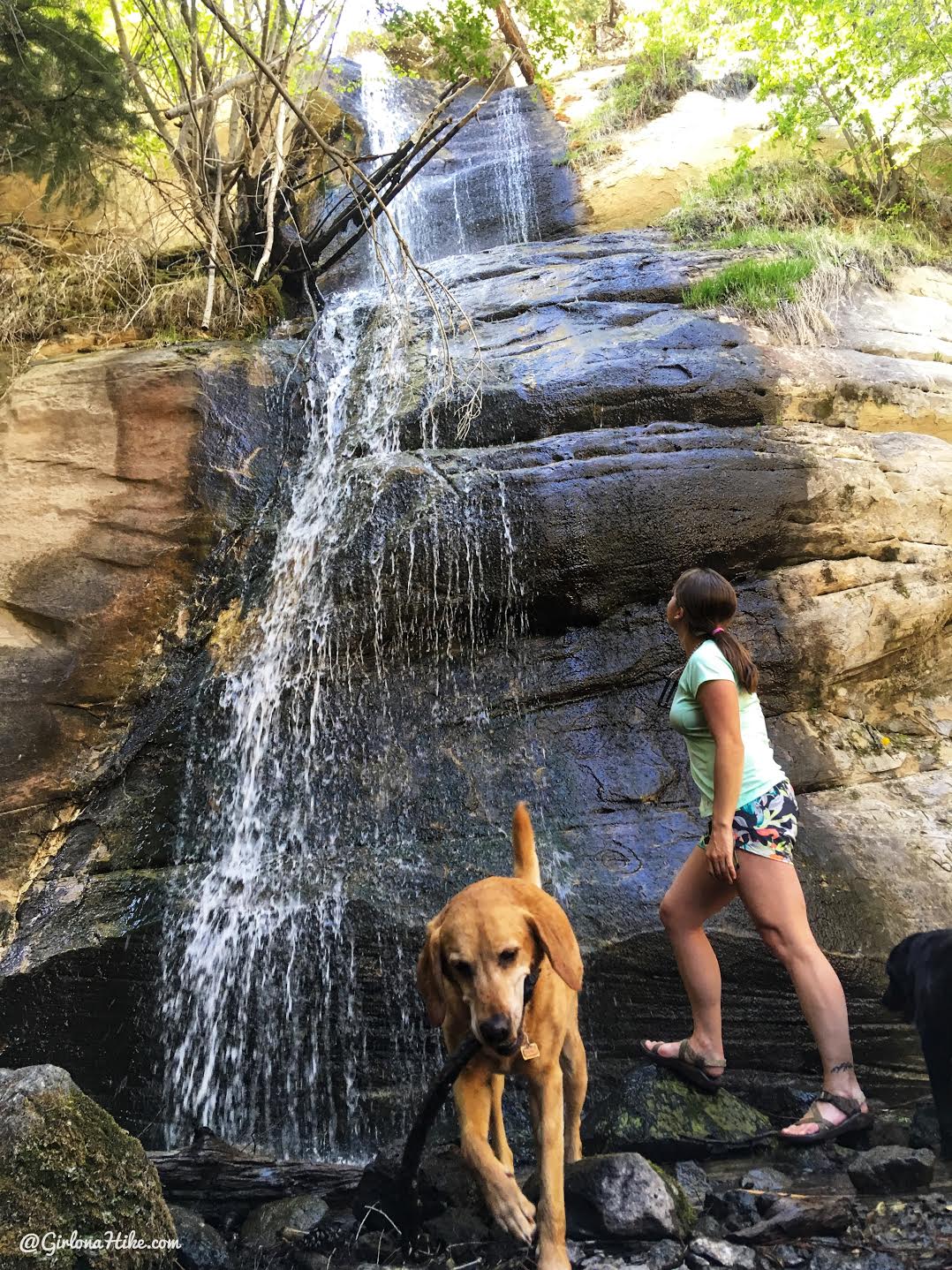 Hiking to Singletree Falls, Boulder Mountain