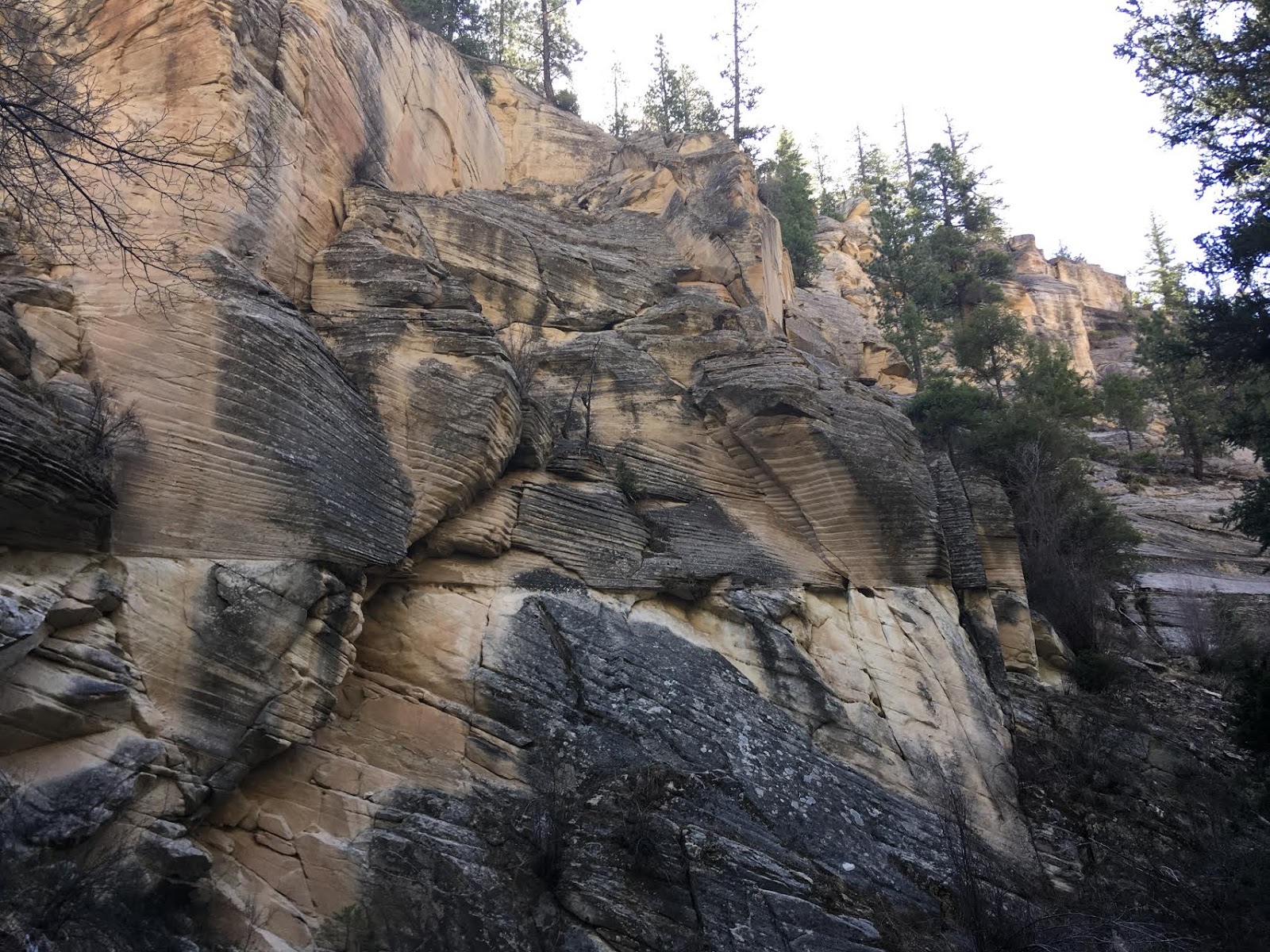 Hiking Pine Creek (The Box Trail) in Escalante, Utah, Hiking in Grand Staircase Escalante National Monument, Hiking in Utah with Dogs