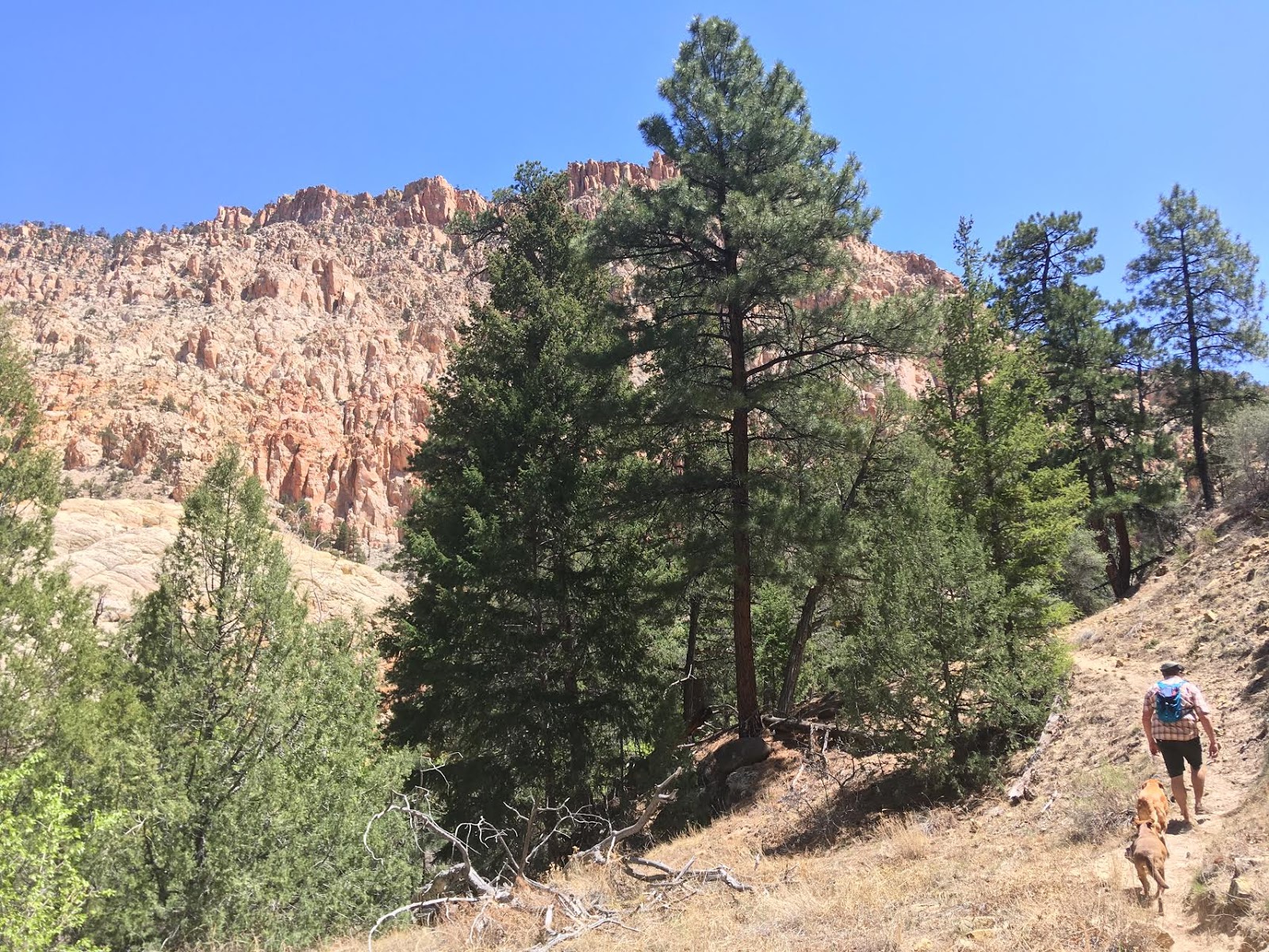 Hiking Pine Creek (The Box Trail) in Escalante, Utah, Hiking in Grand Staircase Escalante National Monument, Hiking in Utah with Dogs