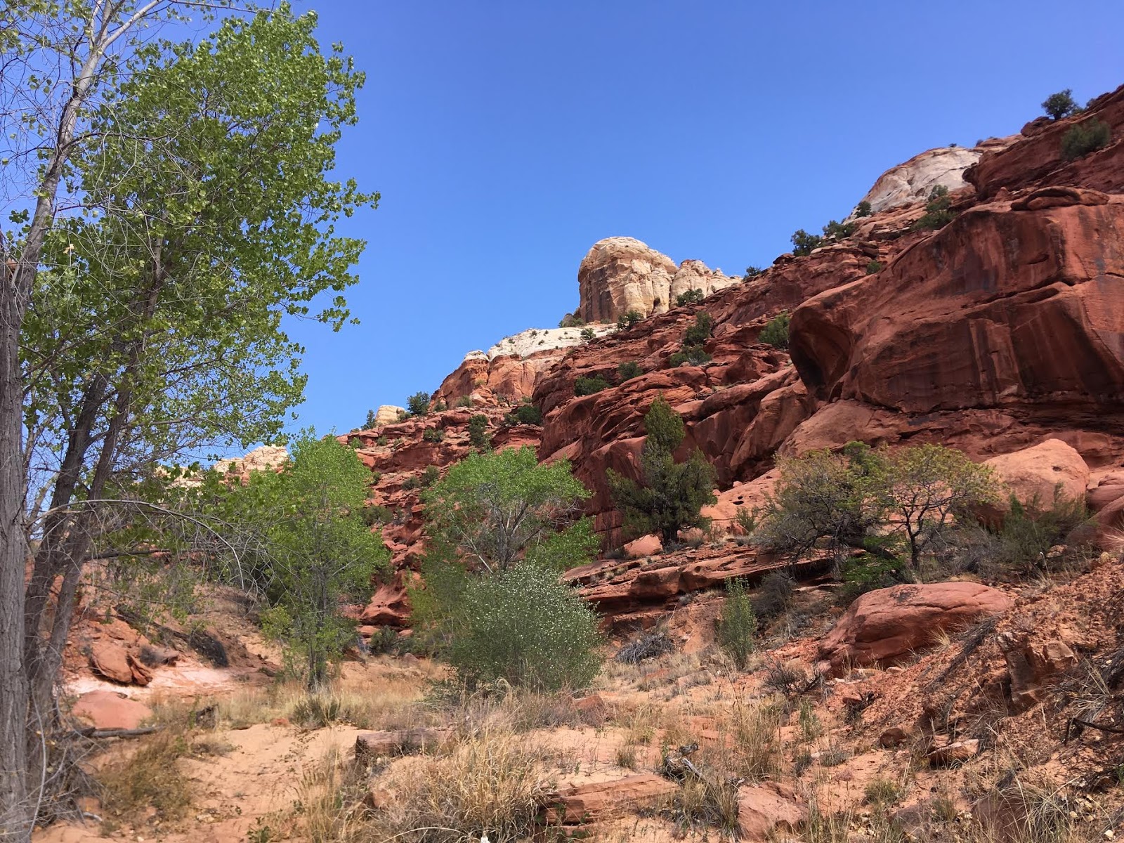 Bowington Arch Grand Staircase Escalante National Monument (GSENM), Hiking with Dogs in Utah