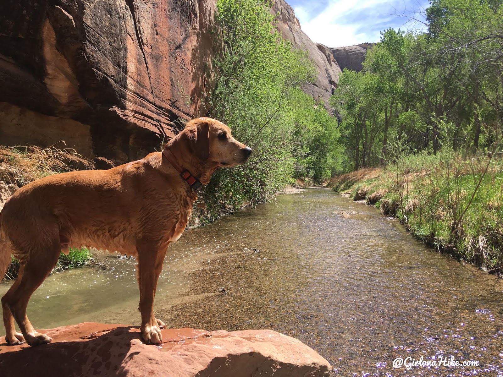 Backpacking the Escalante River Trail, Grand Staircase Escalante National Monument