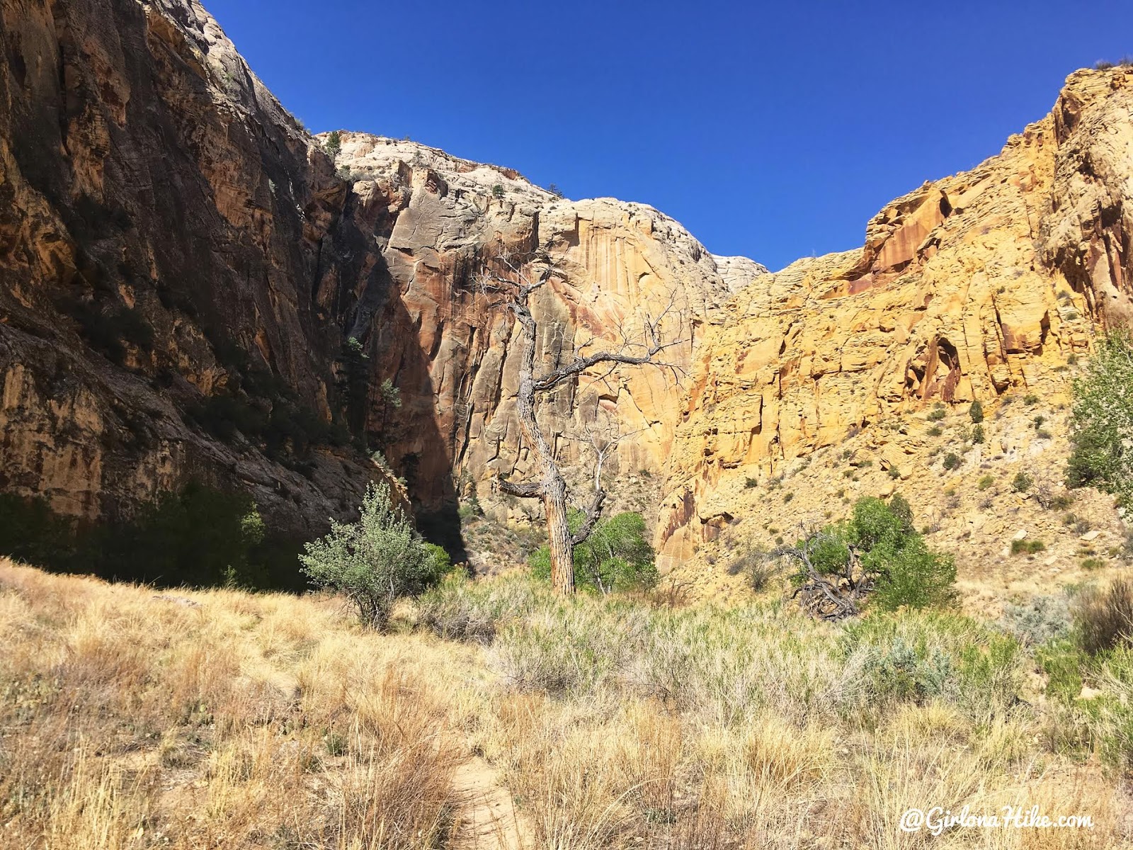 Backpacking the Escalante River Trail, Grand Staircase Escalante National Monument