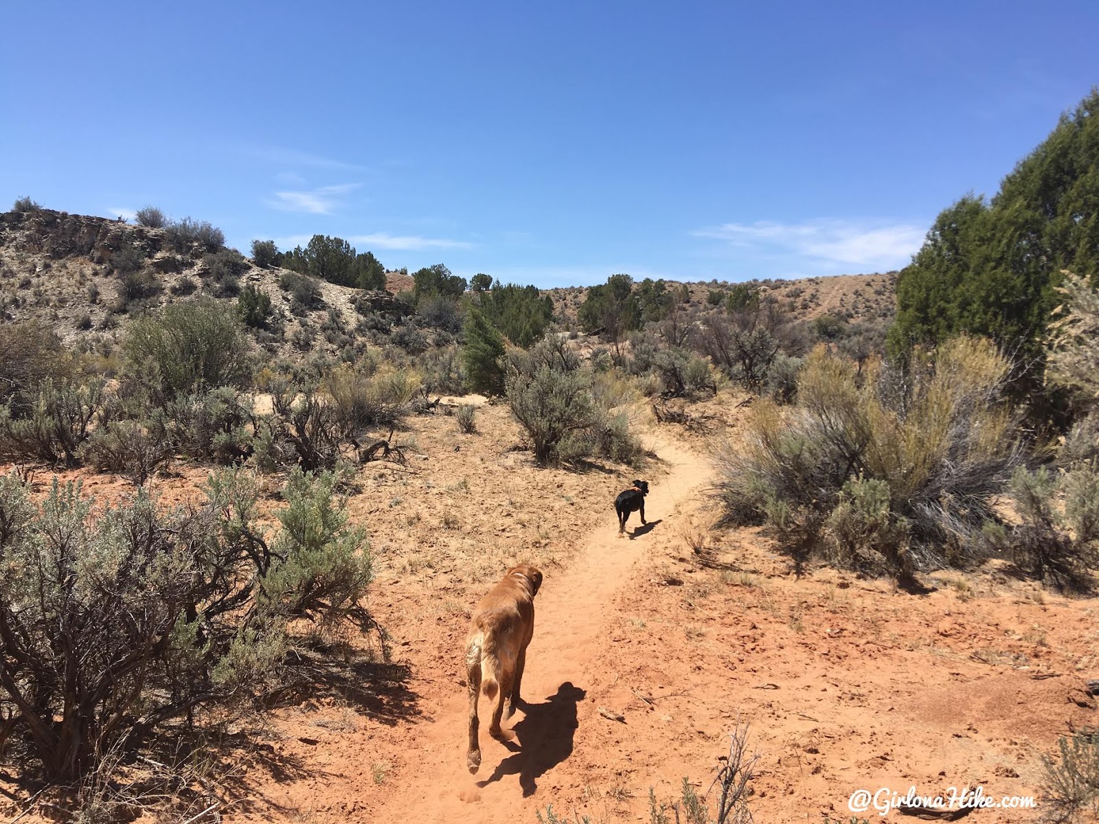 Backpacking the Escalante River Trail, Grand Staircase Escalante National Monument