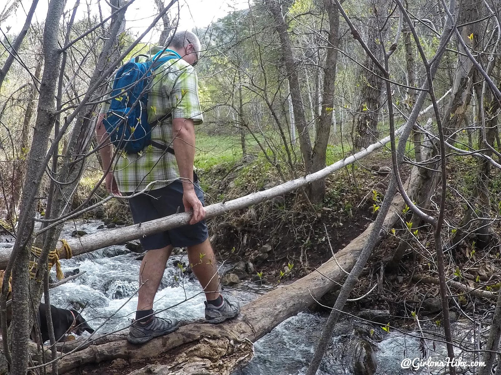 Hiking to the Jardine Juniper Tree, Logan Canyon