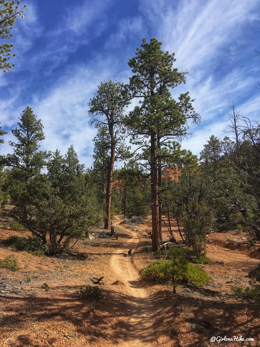 Hiking the Butch Cassidy Trail, Red Canyon near Bryce Canyon National Park