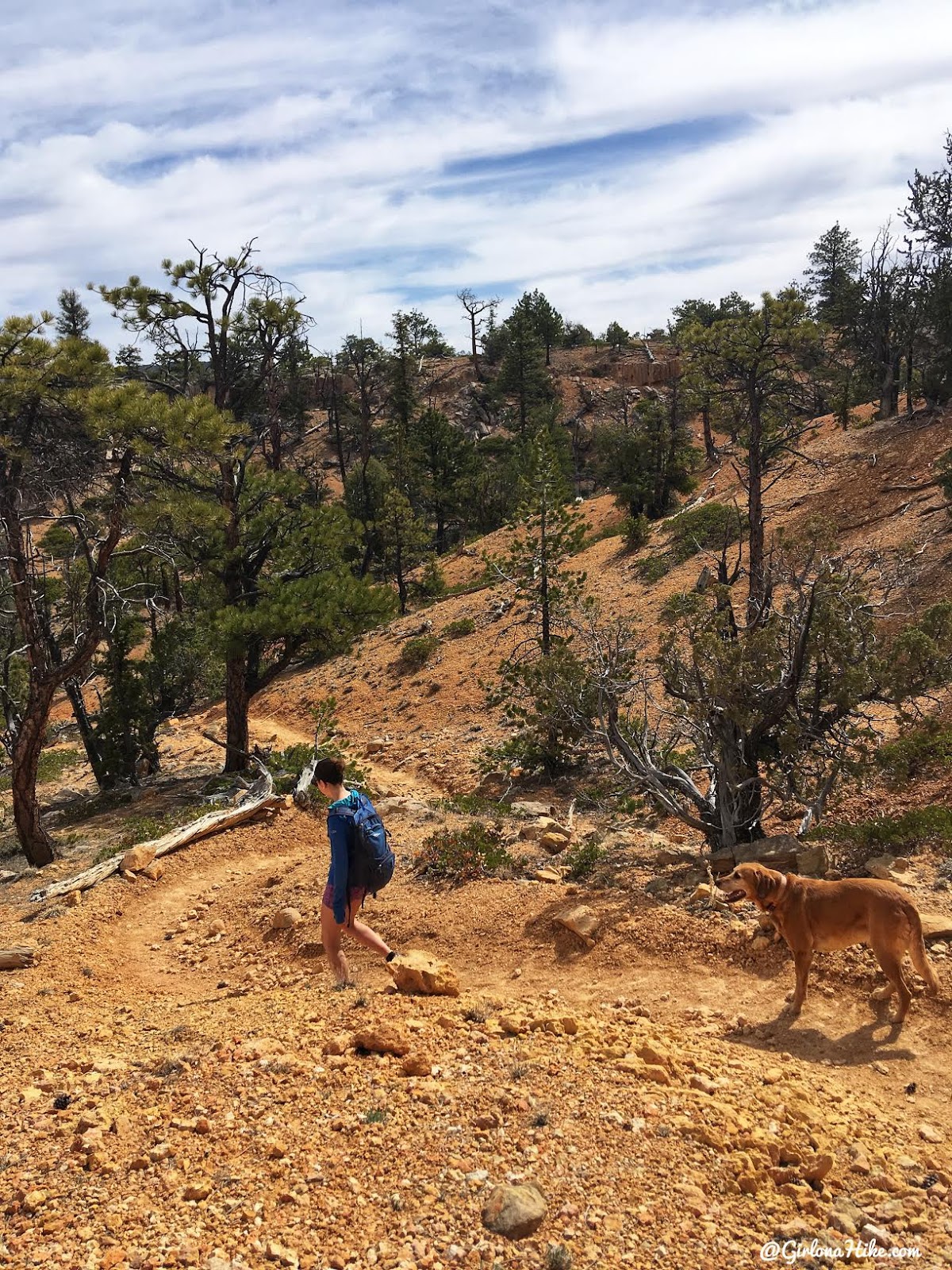 Hiking the Butch Cassidy Trail, Red Canyon near Bryce Canyon National Park