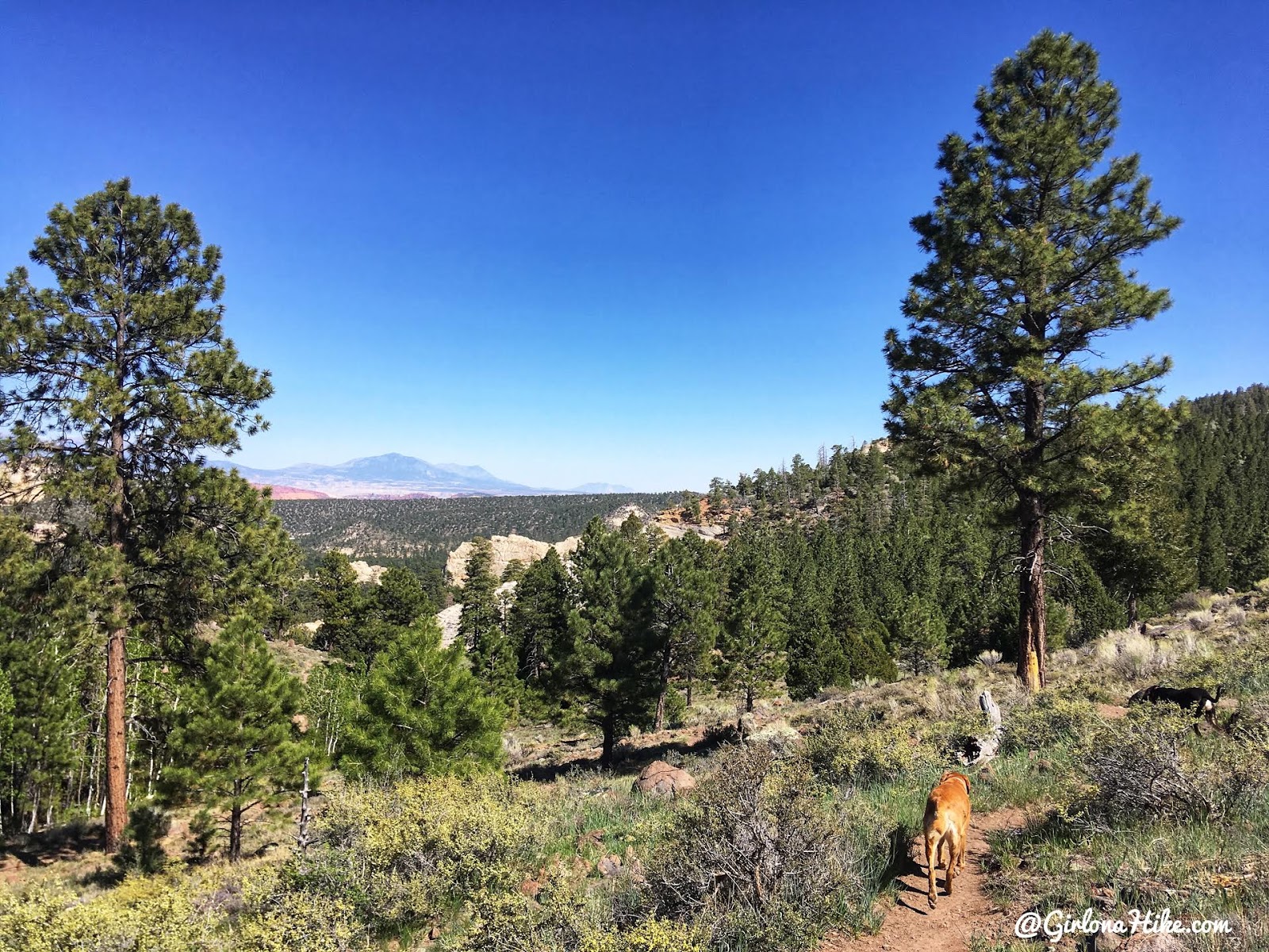 Hiking to Singletree Falls, Boulder Mountain