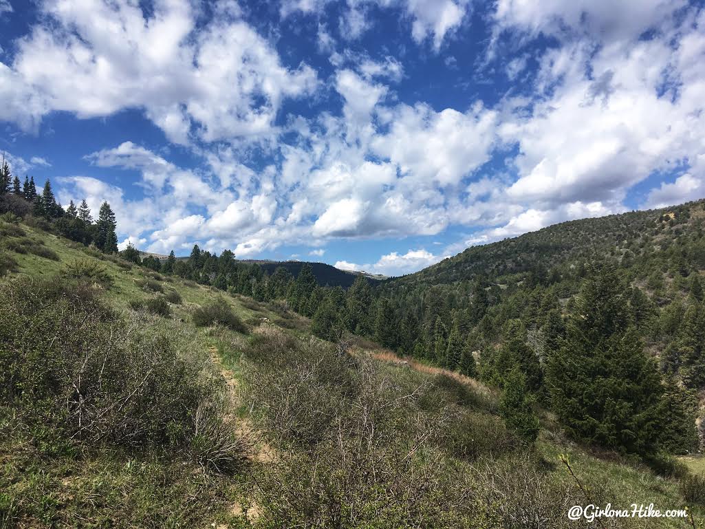 Backpacking the Ashdown Gorge via Rattlesnake Creek