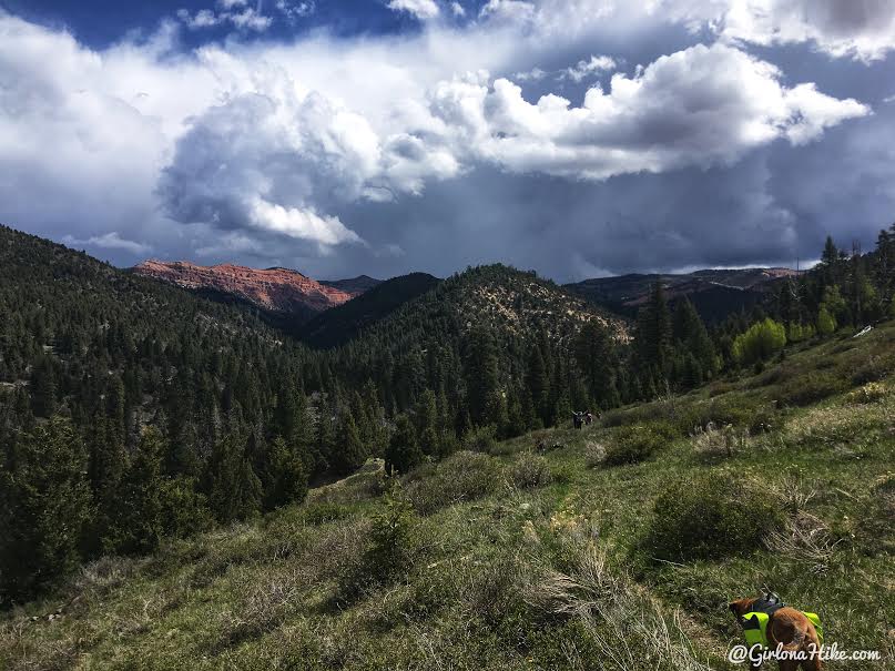 Backpacking the Ashdown Gorge via Rattlesnake Creek