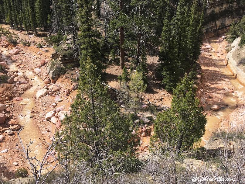 Backpacking the Ashdown Gorge via Rattlesnake Creek