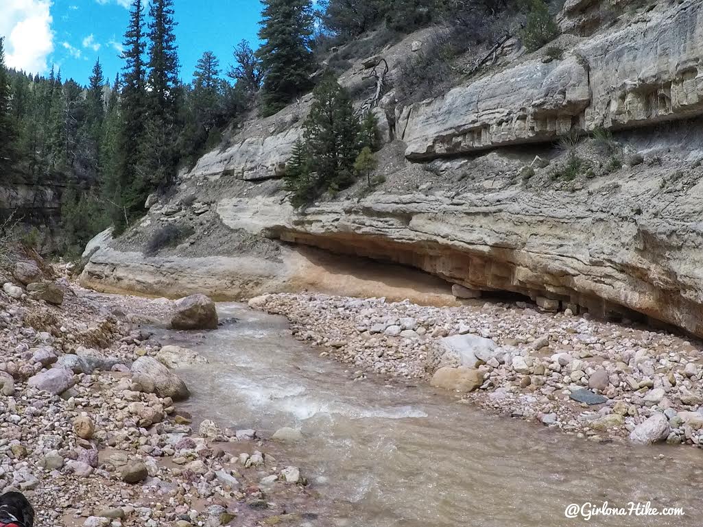 Backpacking the Ashdown Gorge via Rattlesnake Creek