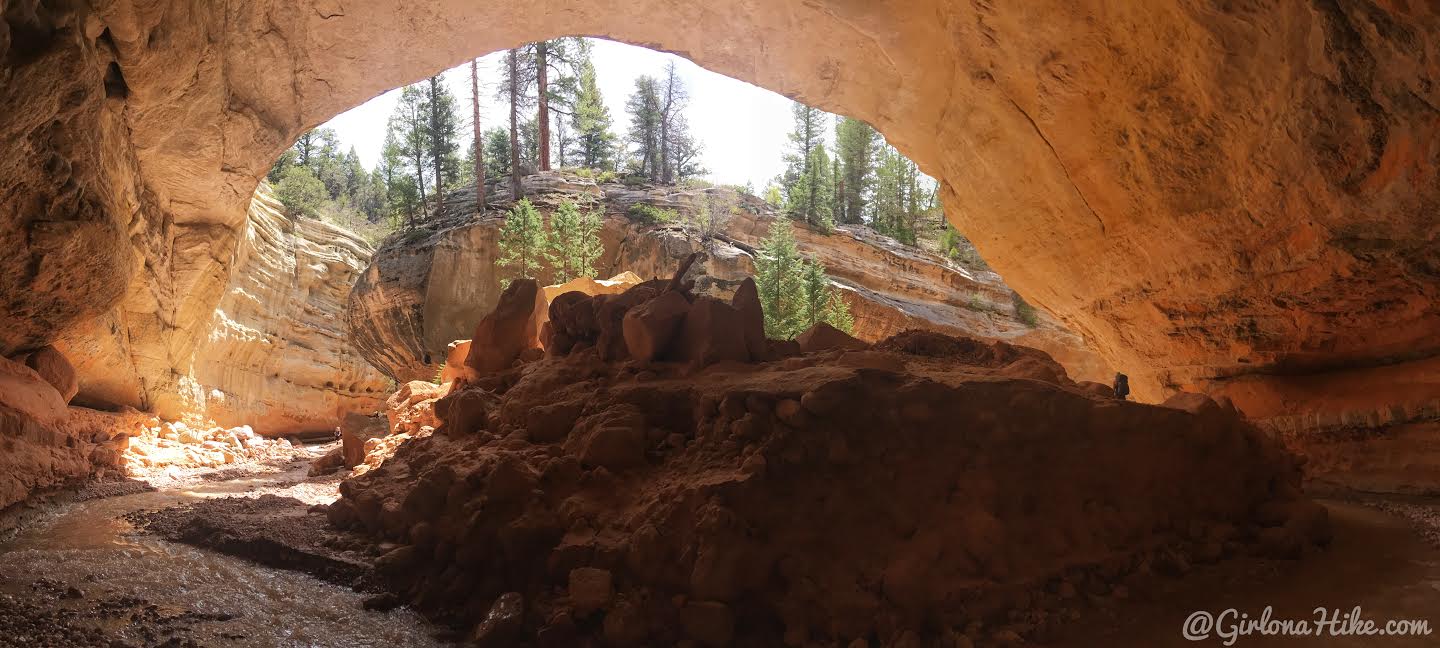 Backpacking the Ashdown Gorge via Rattlesnake Creek