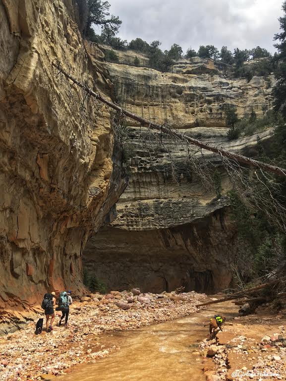 Backpacking the Ashdown Gorge via Rattlesnake Creek