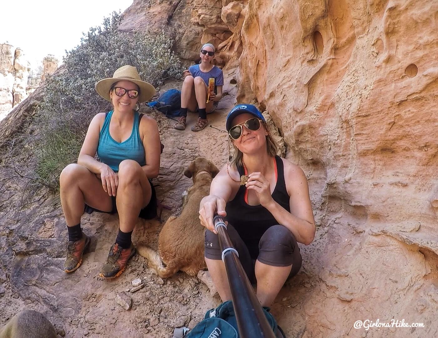 Bowington Arch Grand Staircase Escalante National Monument (GSENM), Hiking with Dogs in Utah