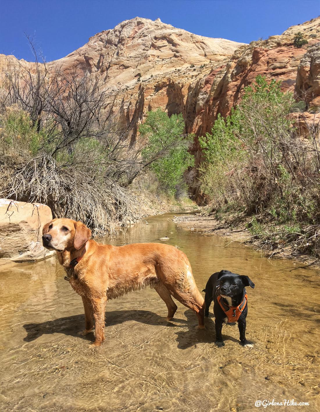 Backpacking the Escalante River Trail, Grand Staircase Escalante National Monument