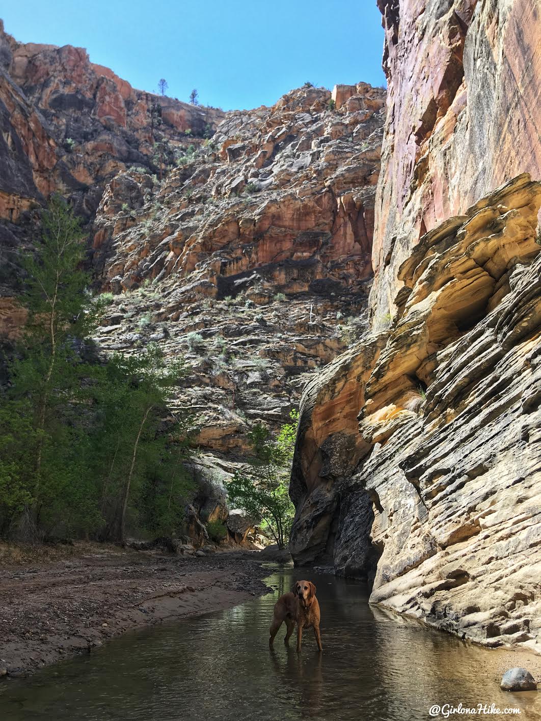 Backpacking the Escalante River Trail, Grand Staircase Escalante National Monument