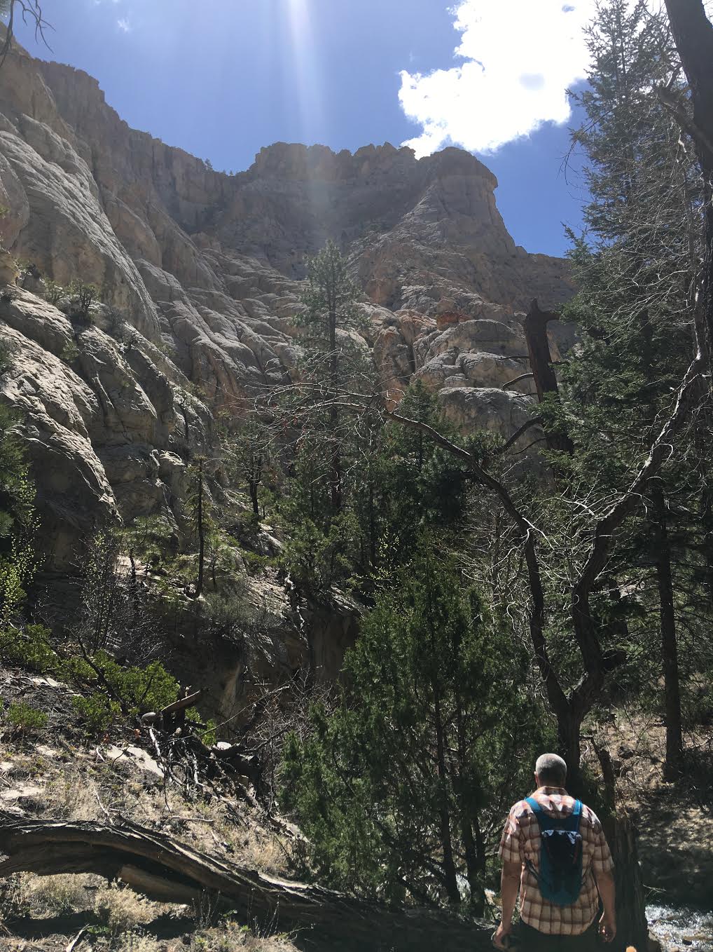 Hiking Pine Creek (The Box Trail) in Escalante, Utah, Hiking in Grand Staircase Escalante National Monument, Hiking in Utah with Dogs