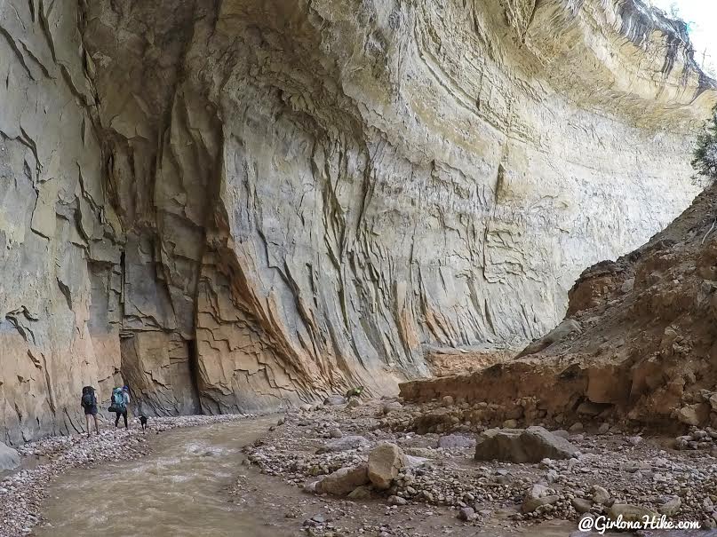 Backpacking the Ashdown Gorge via Rattlesnake Creek