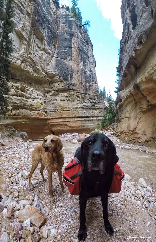 Backpacking the Ashdown Gorge via Rattlesnake Creek