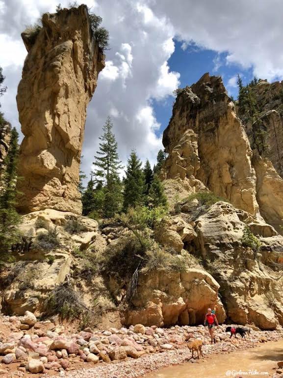 Backpacking the Ashdown Gorge via Rattlesnake Creek